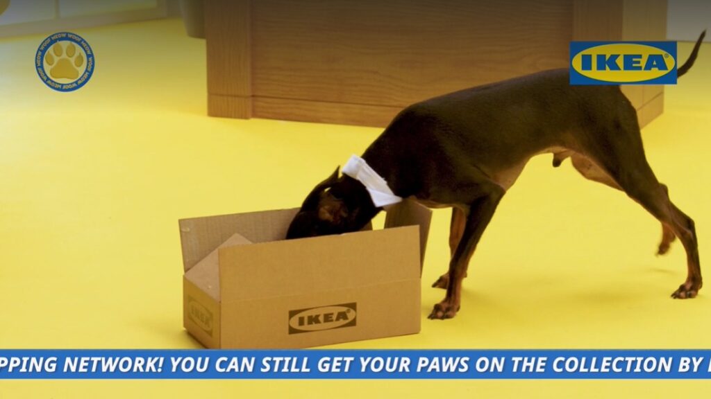 Instagram post from printsigndesign. This post is in position 2.