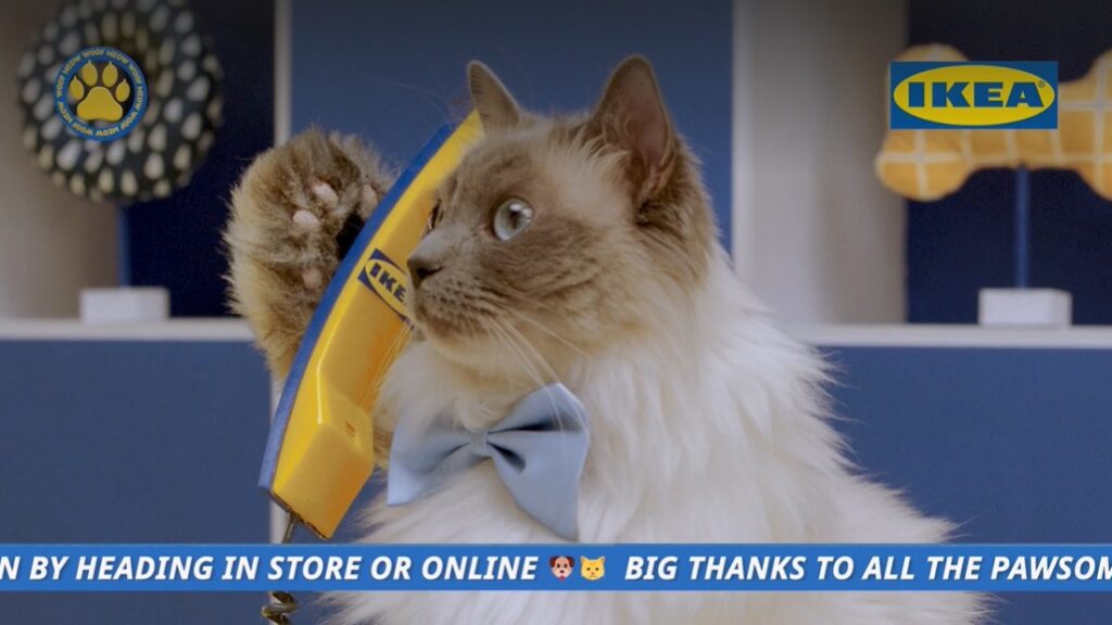 Instagram post from printsigndesign. This post is in position 2.